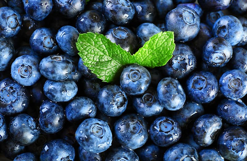 images/1651045836814blueberry sorting machine.jpg